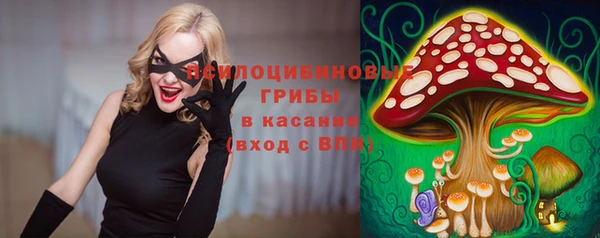 прущая мука Богородицк