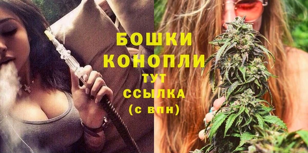 прущие грибы Богородск