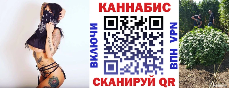 Бошки Шишки семена  цены   Кочубеевское 